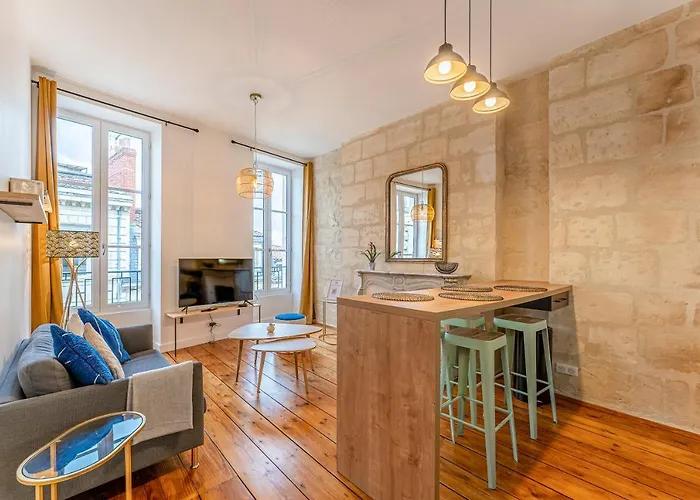 Apartment Climatises En Hyper Centre *